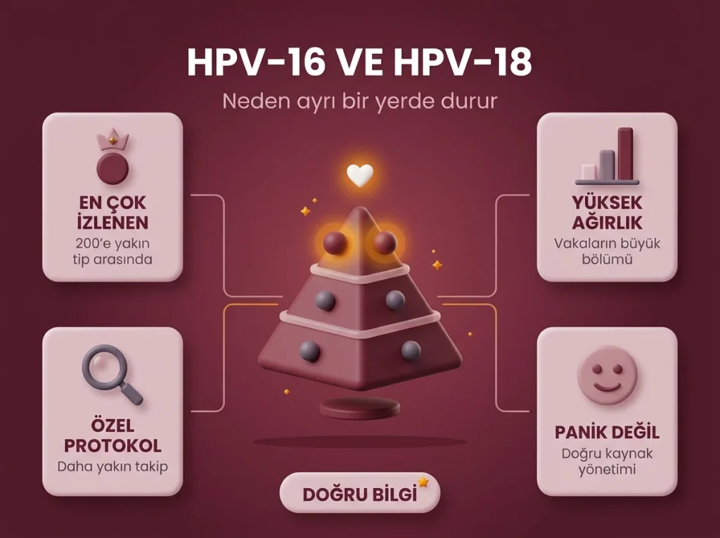 HPV 16 HPV 18 nedir?