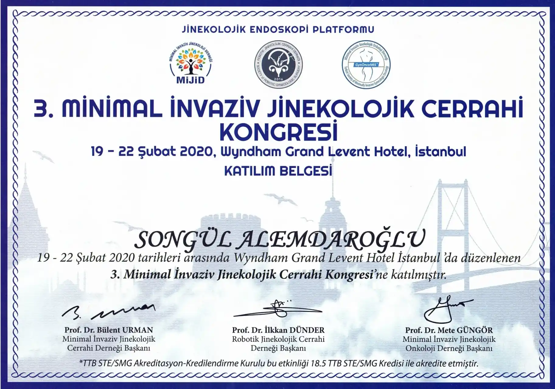 3. Minimal İnvaziv Jinekolojik Cerrahi Kongresi katılım belgesi — Adana laparoskopi ameliyatı uygulayan Doç. Dr. Songül Alemdaroğlu