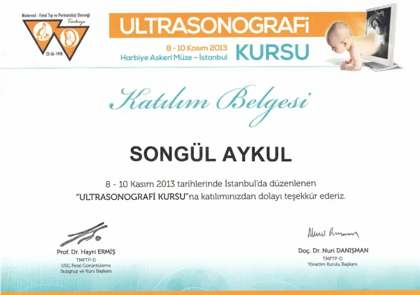 Ultrasonografi Kursu katılım belgesi 2013 — Adana gebelik takibi uzmanı Doç. Dr. Songül Alemdaroğlu
