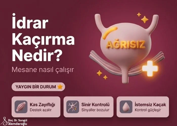 Idrar kacirma nedir