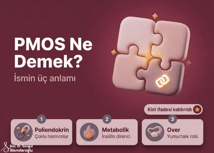 pcos-nedir